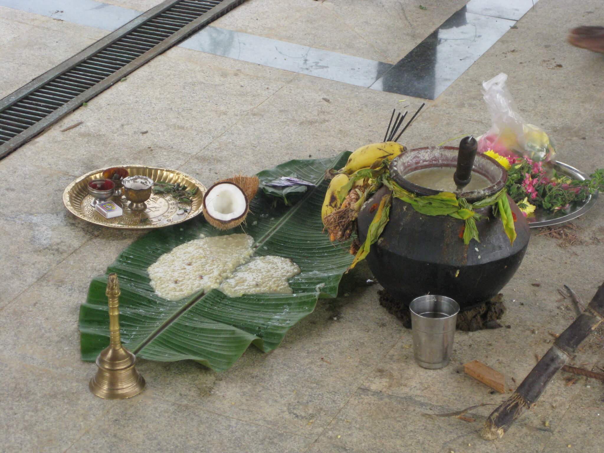 Pongal