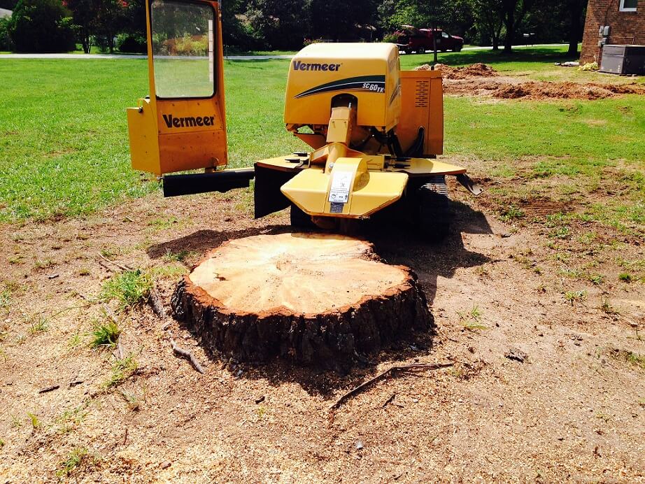 Dig out the stump