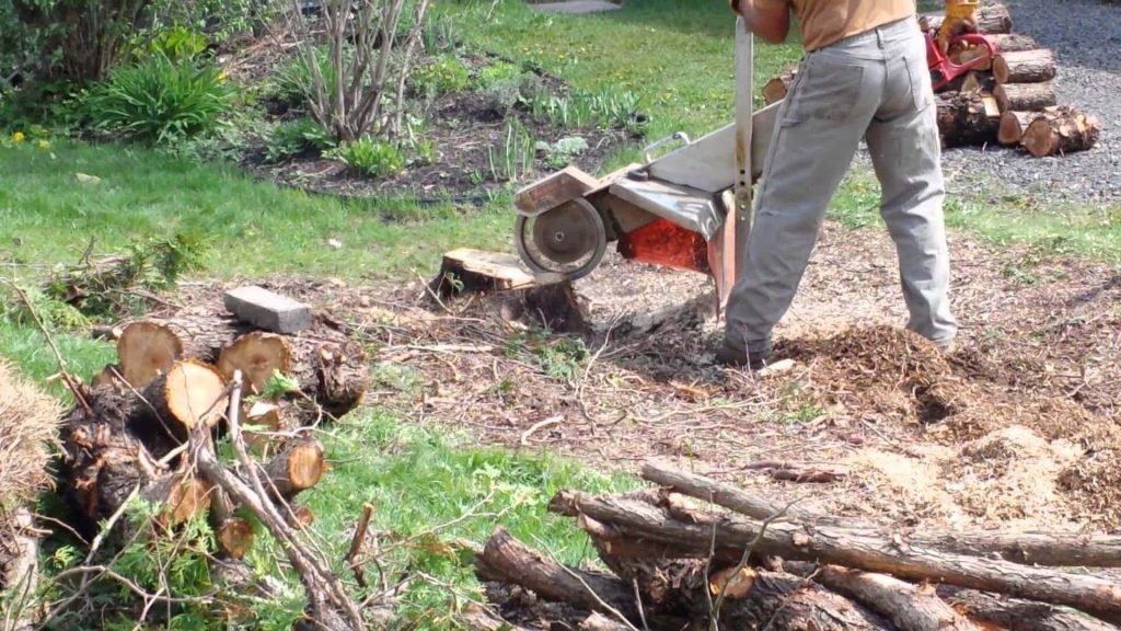 Tips How to Remove a Tree Stump Arboriculture Services