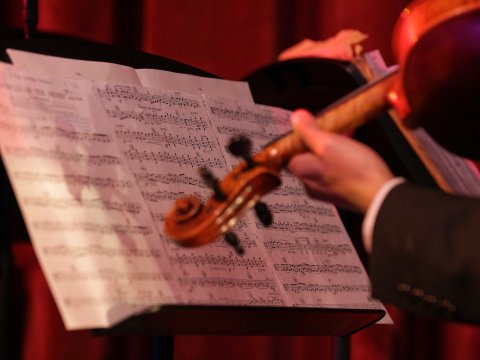 Ocdamia Strings Review | Musical Preferences