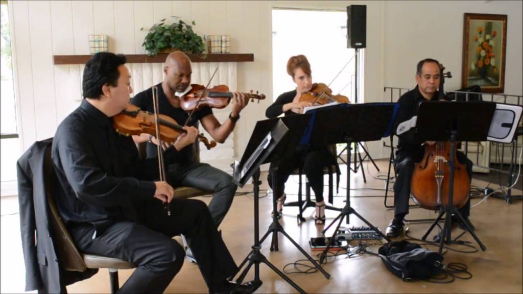 Ocdamia Strings | Wedding Ceremony Musicians