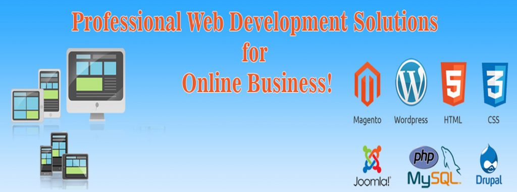 Web Development Company