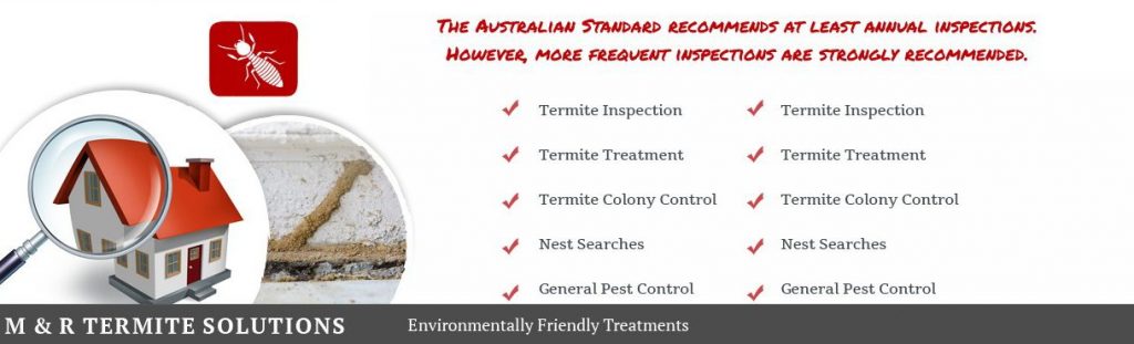 Termite Pest Control