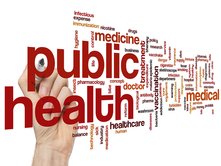 public health-public health