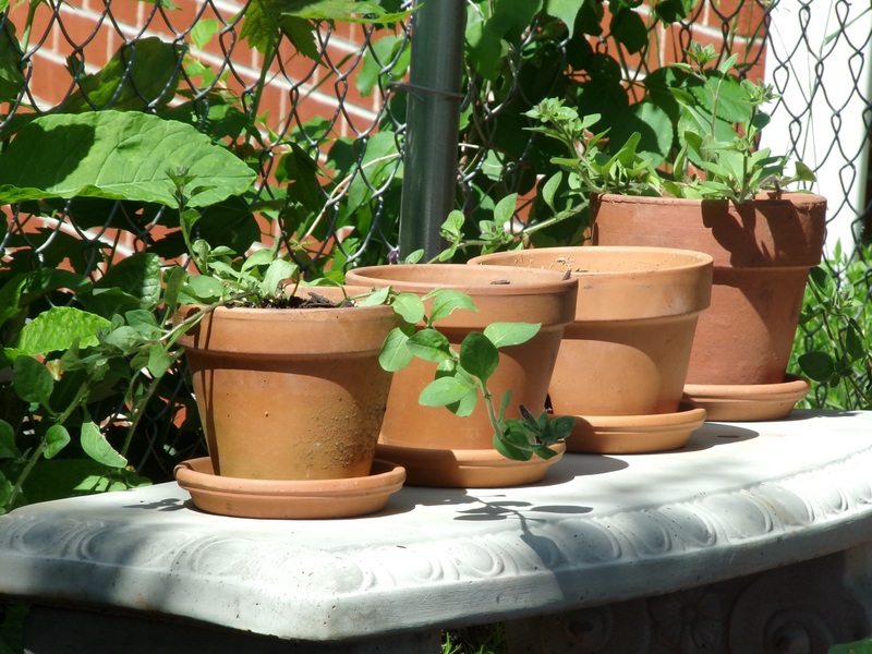 Plastic Garden Pots