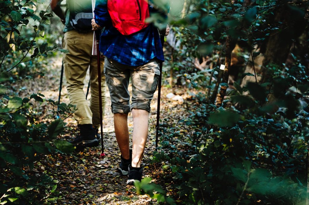 Jungle Trekking