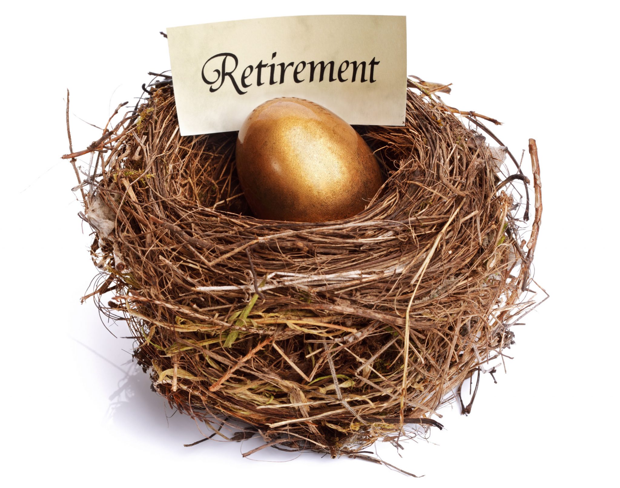 investing in pension - Tomas Vargas Harvard