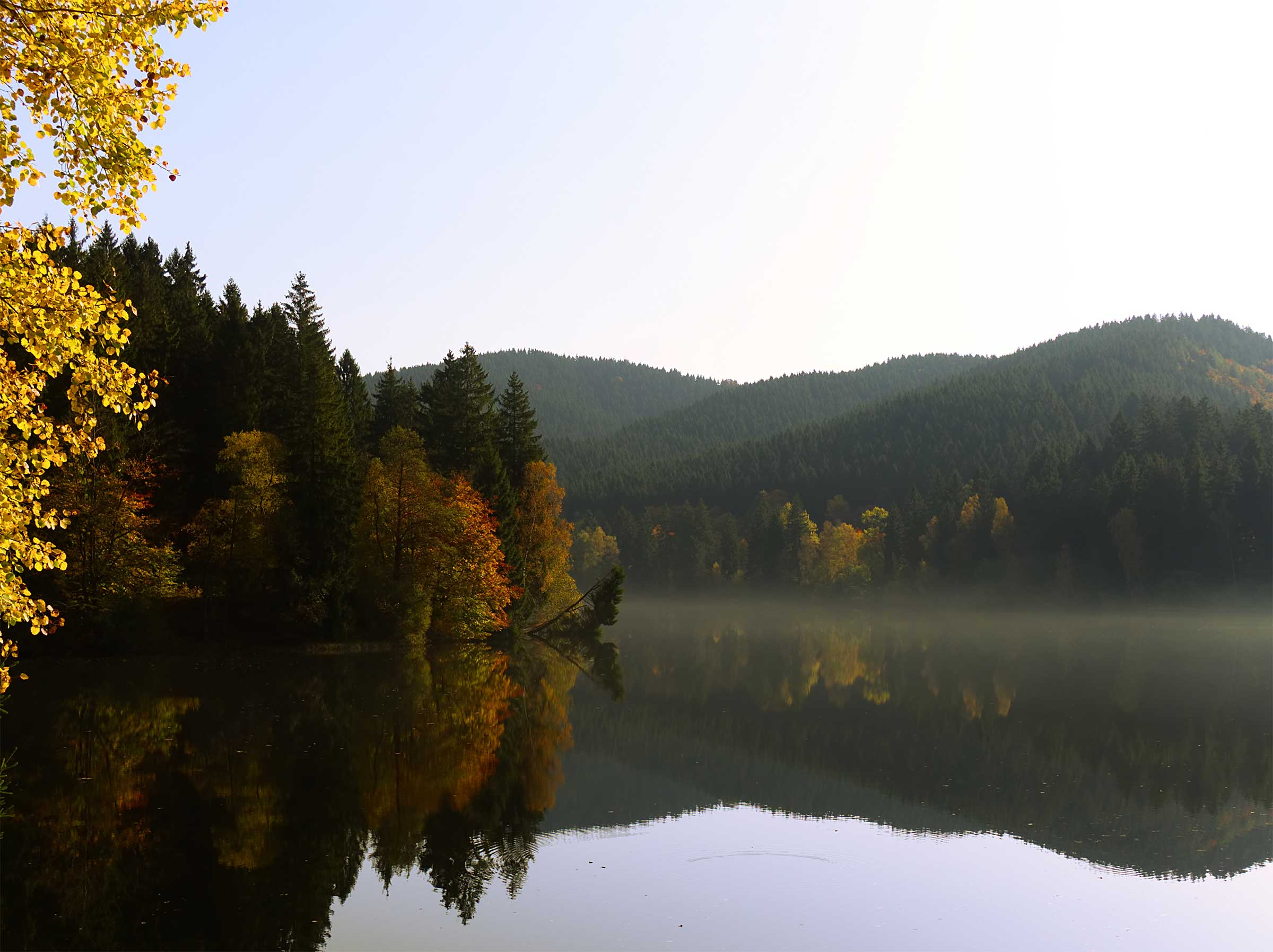 Lake of Bays