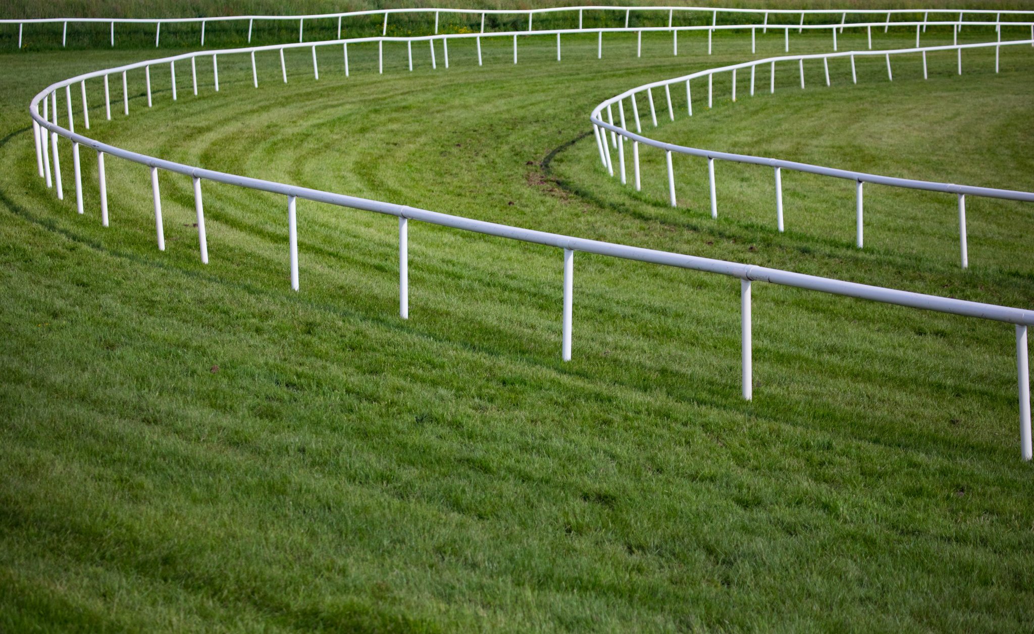 Horse Race Rail Tracks