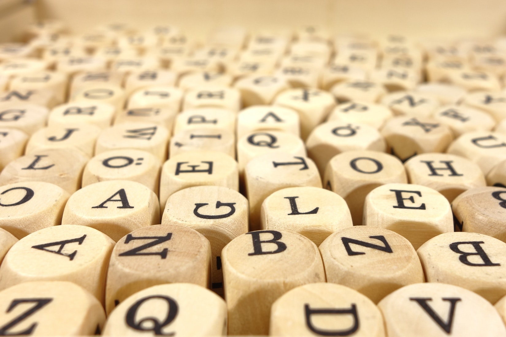 Jeanine McCool Sarasota - Vocabulary