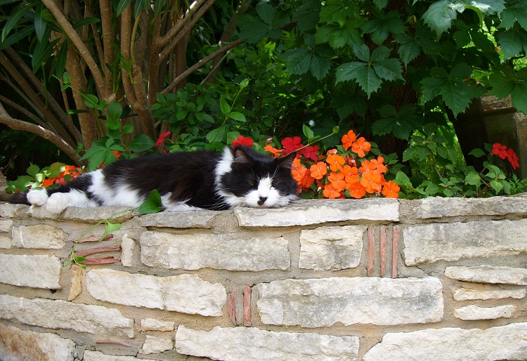 Retaining Wall Stone