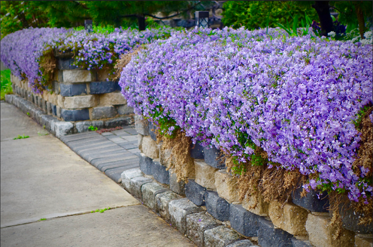 Retaining Wall Stone