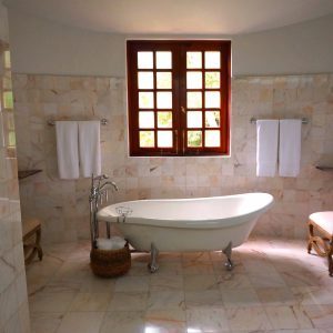 bidet
