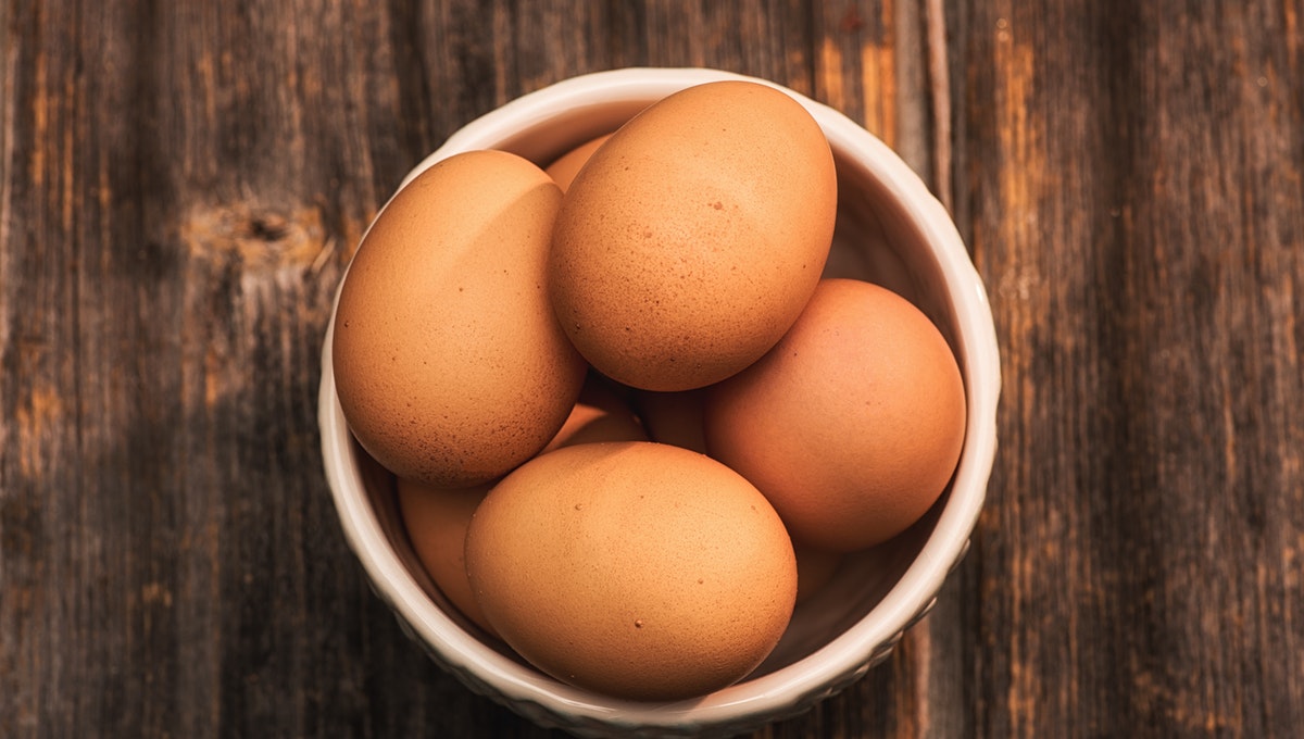 Mark McCool Sarasota - Eggs