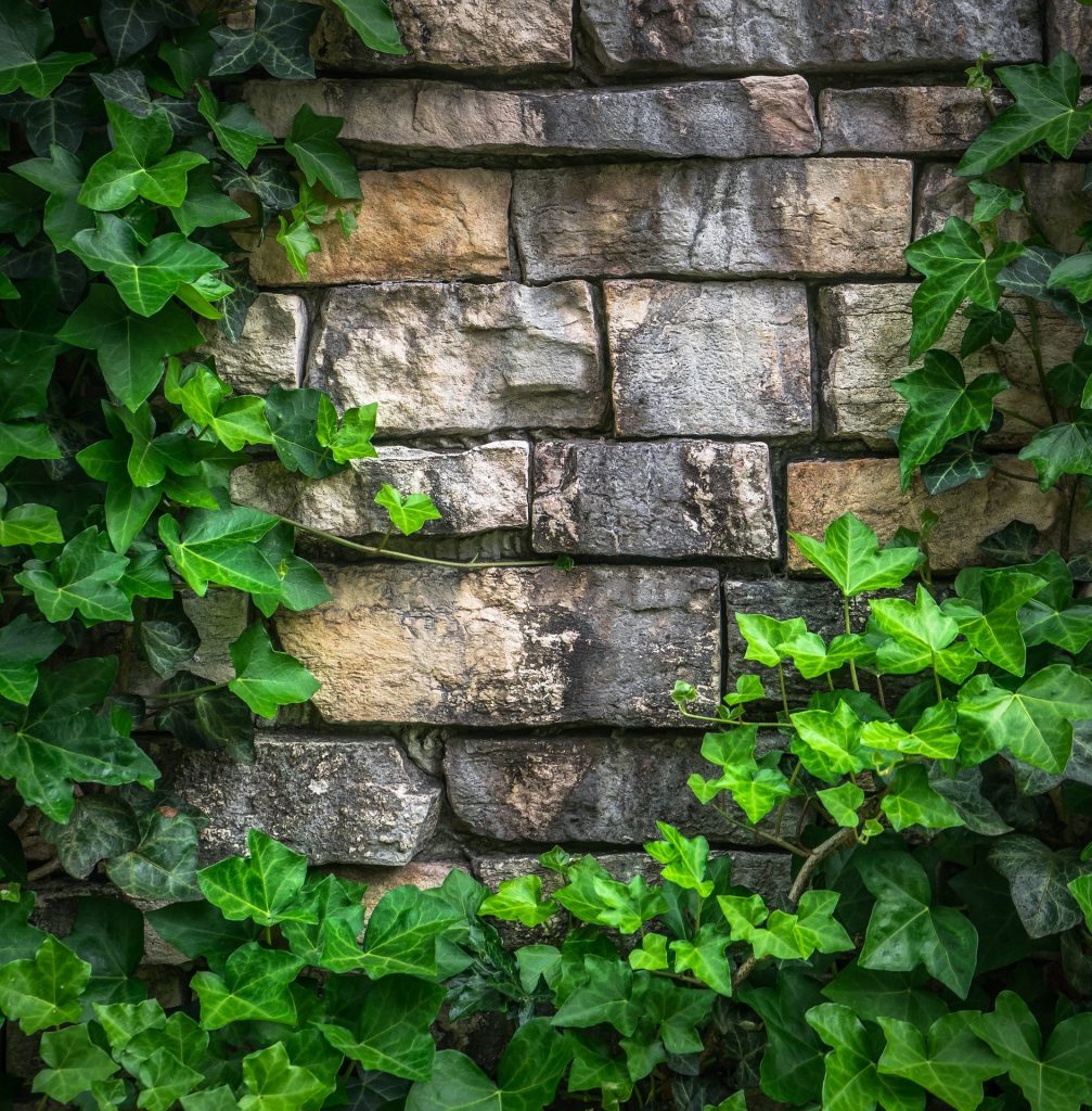 Green walls