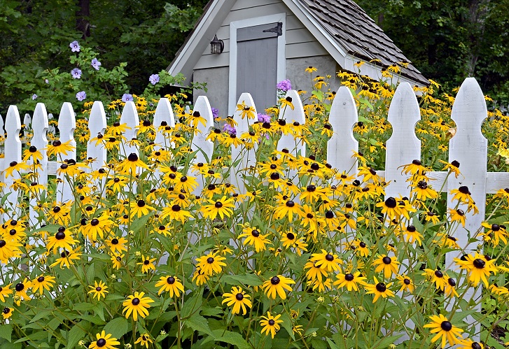 garden-shed-melbourne