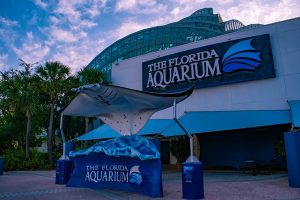 florida aquarium