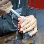 Quick Jewelry Watch Cleaning Services