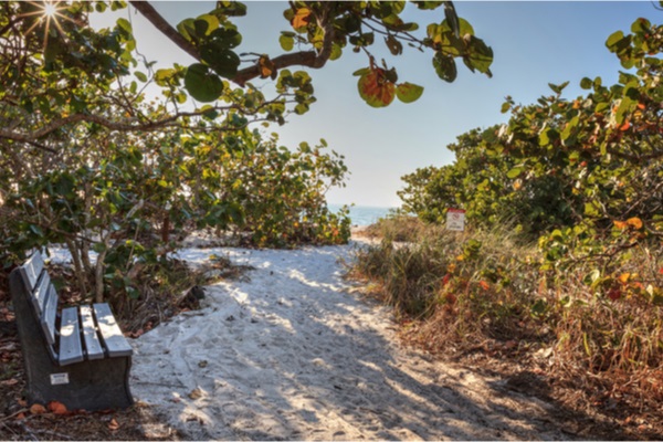 wood bench on the white sand