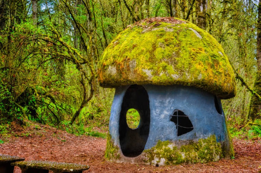 Playground Shelter