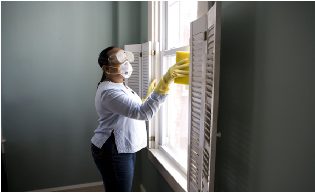 Does cold weather kill mold? 