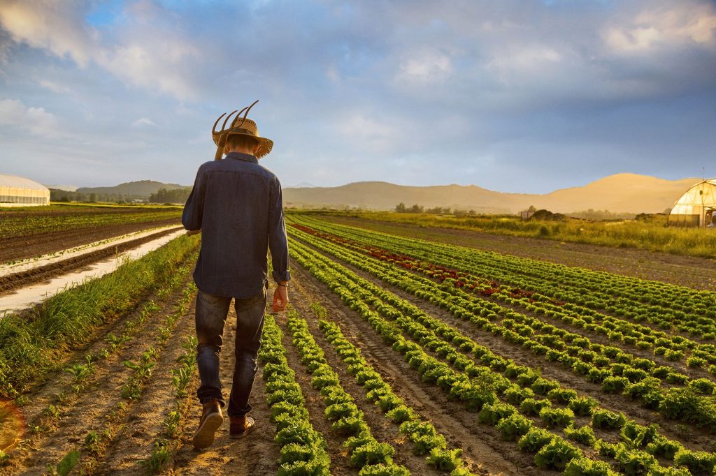 crop-farmer