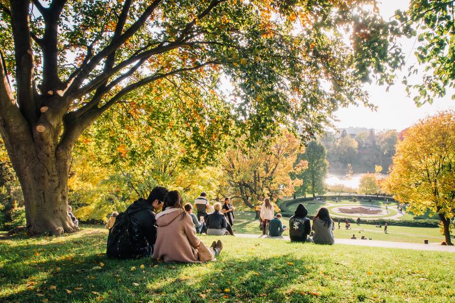 High Park Toronto