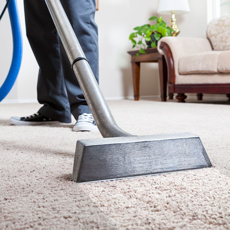 carpet cleaning 