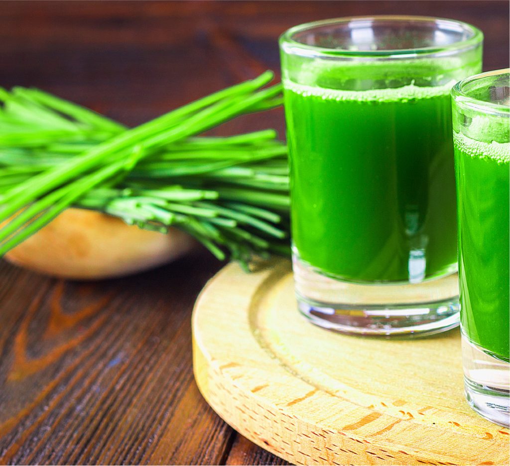 wheatgrass juice