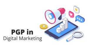 PGP in digita marketing