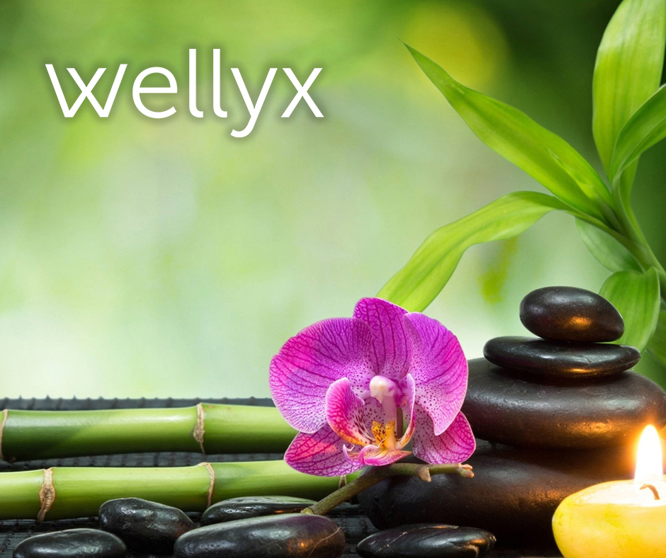 Wellyx Spa POS Software