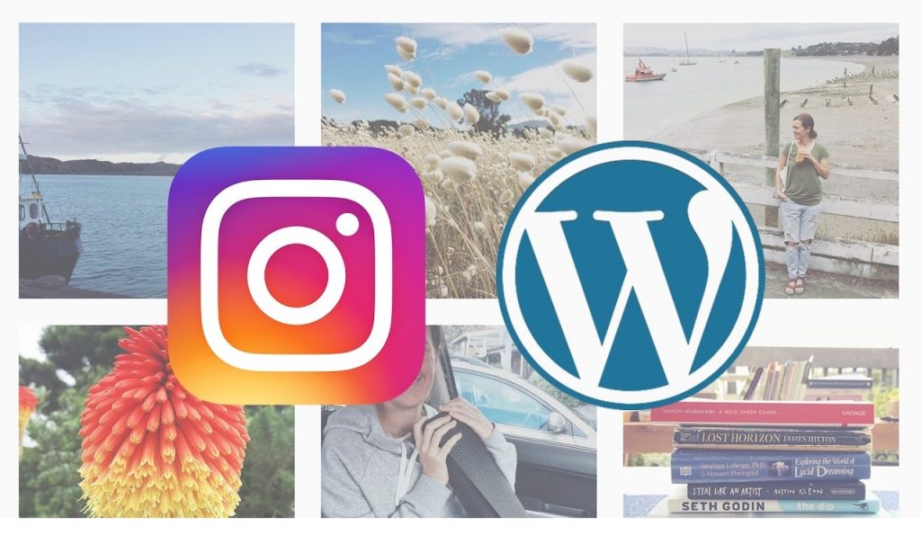 Instagram Widget & Plugins