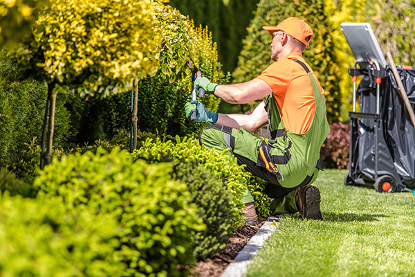 landscape Contractor