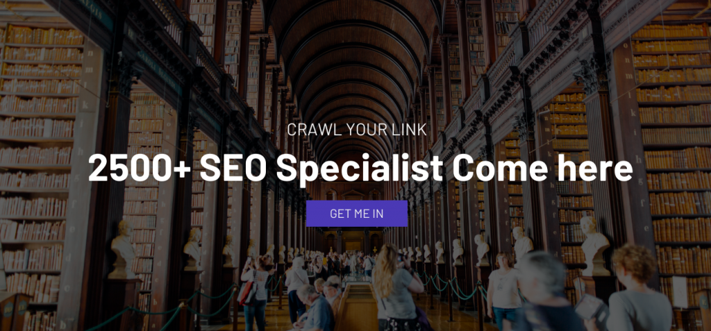 seo specialist site crawlyourlink