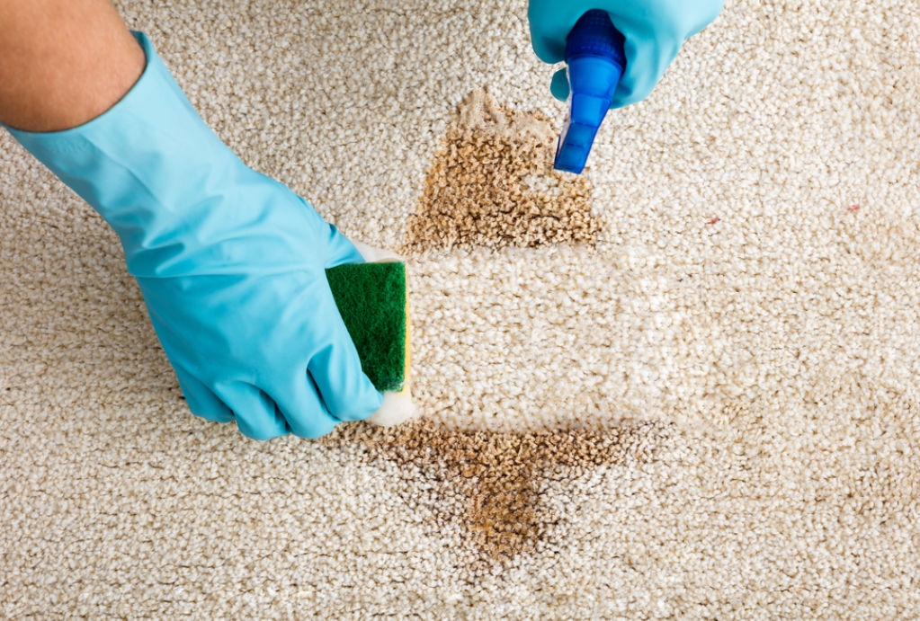 carpet-cleaning