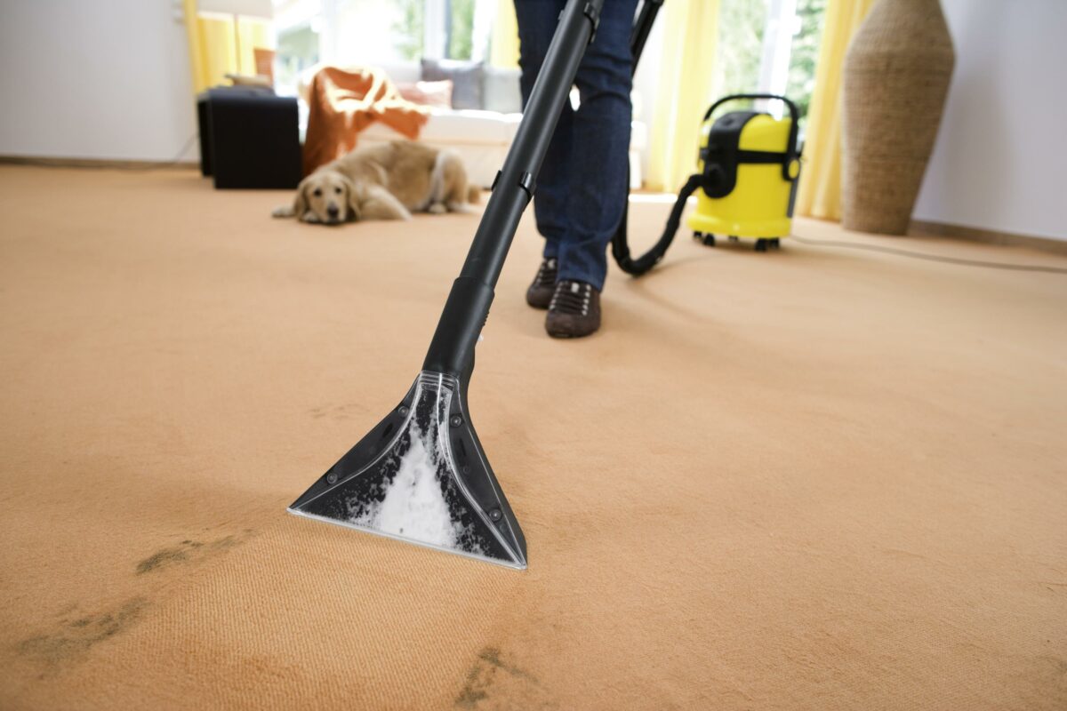 carpet-cleaning