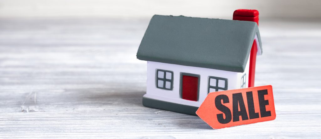 Real Estate Adam Property