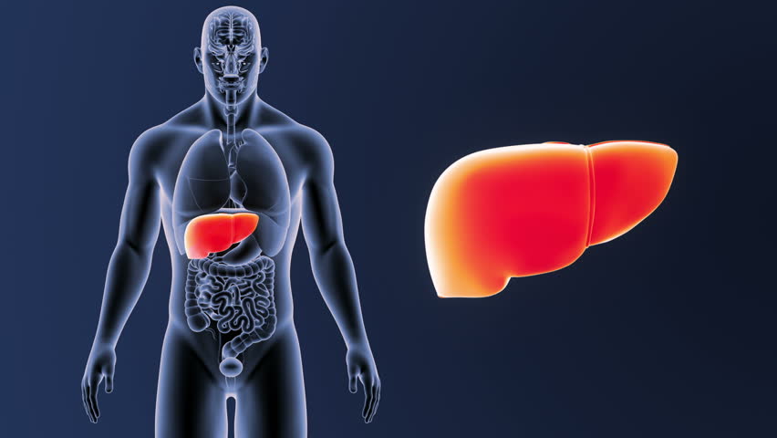 Liver disease