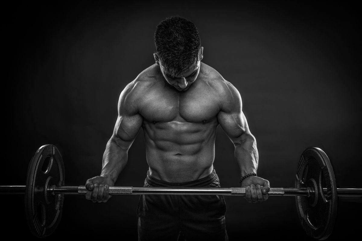 Muscle Building Steroids