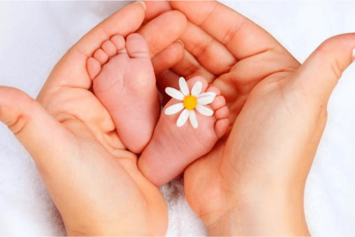 ivf center in india