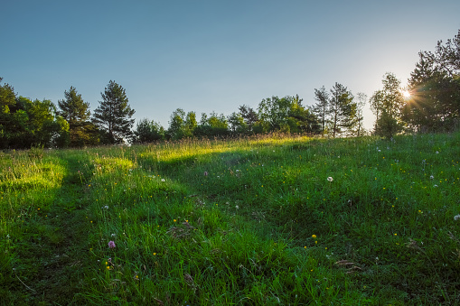 buying government land