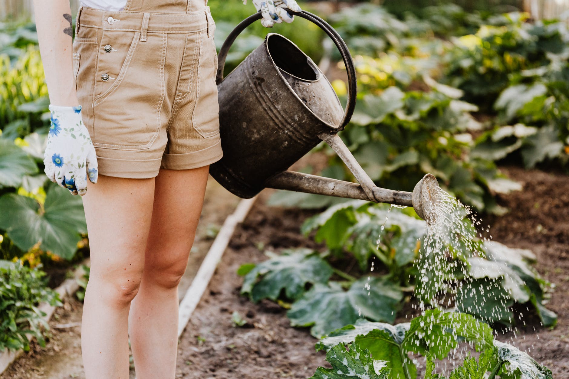 gardening products