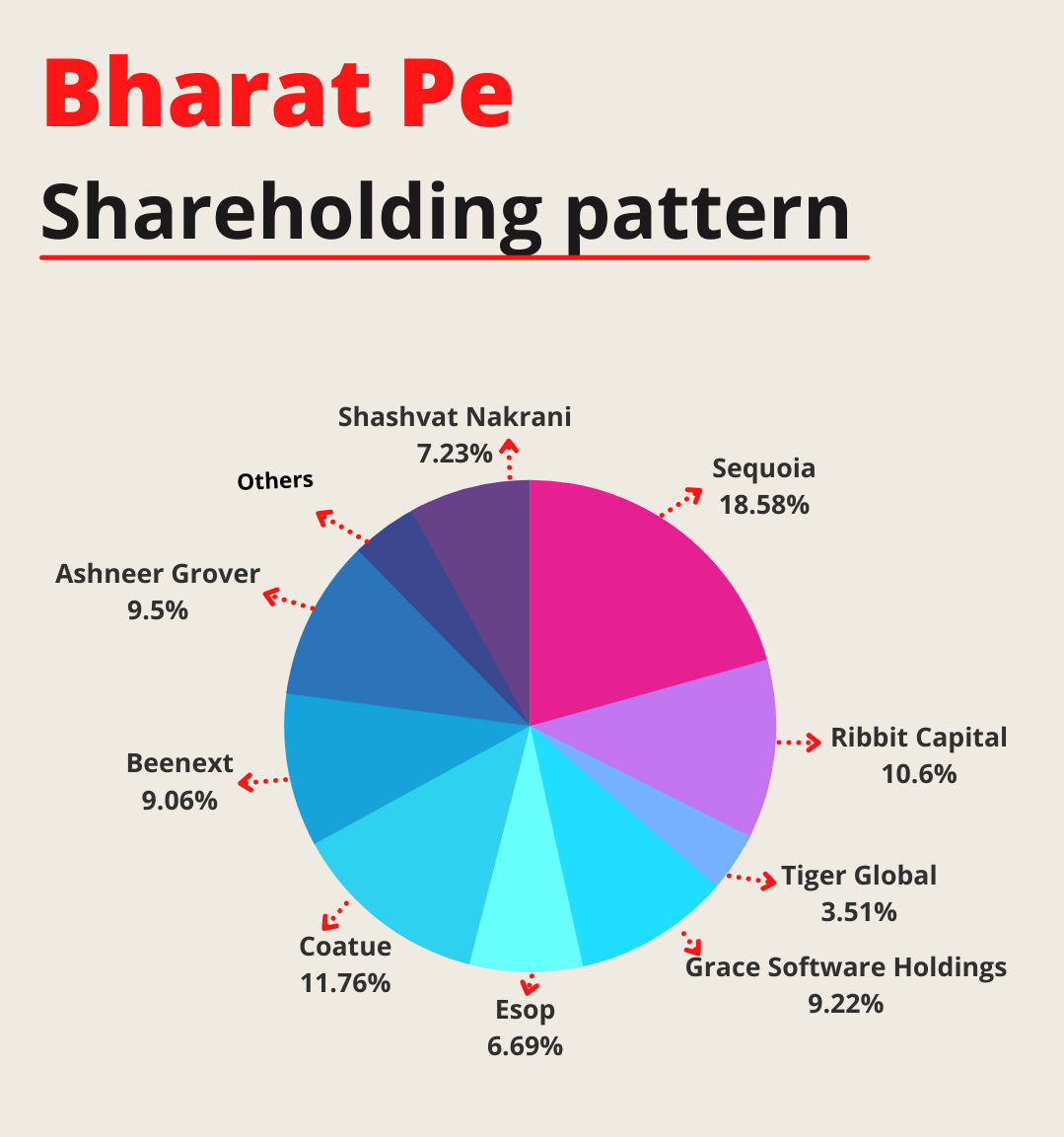 Bharat pe Share holding 
