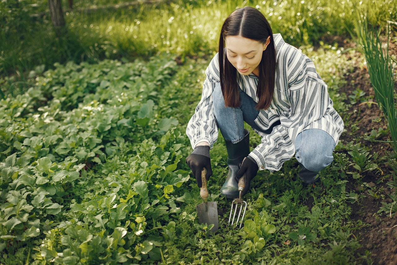 vegetables and flowers