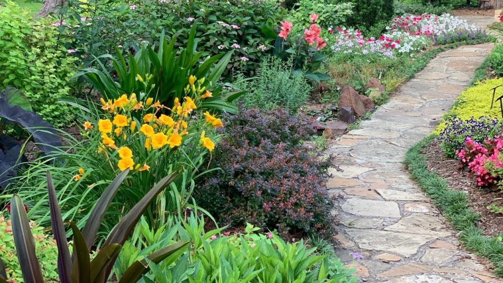 Flowers in a garden