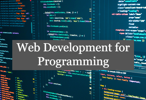 5 Best Options to Choose Web Development for Programming