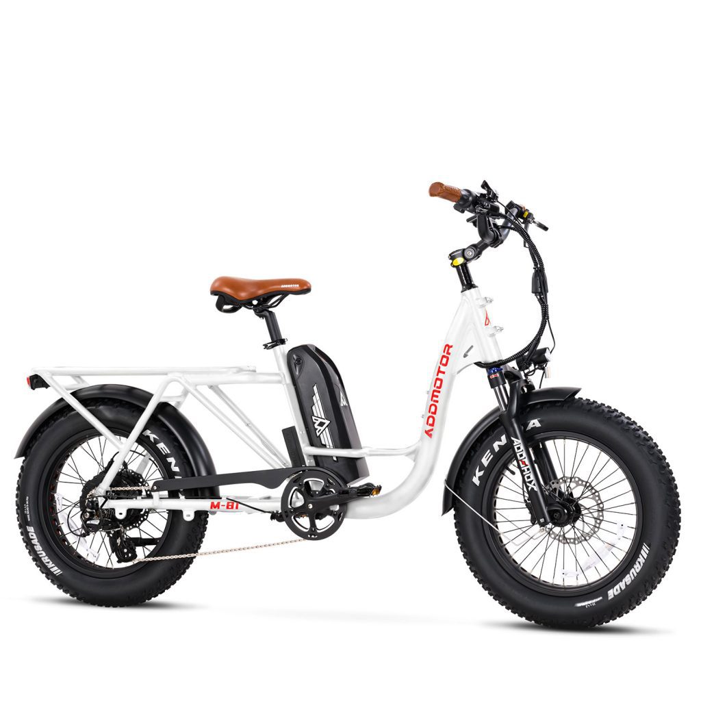 electric cargo bike