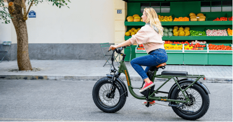 cargo electric bike
