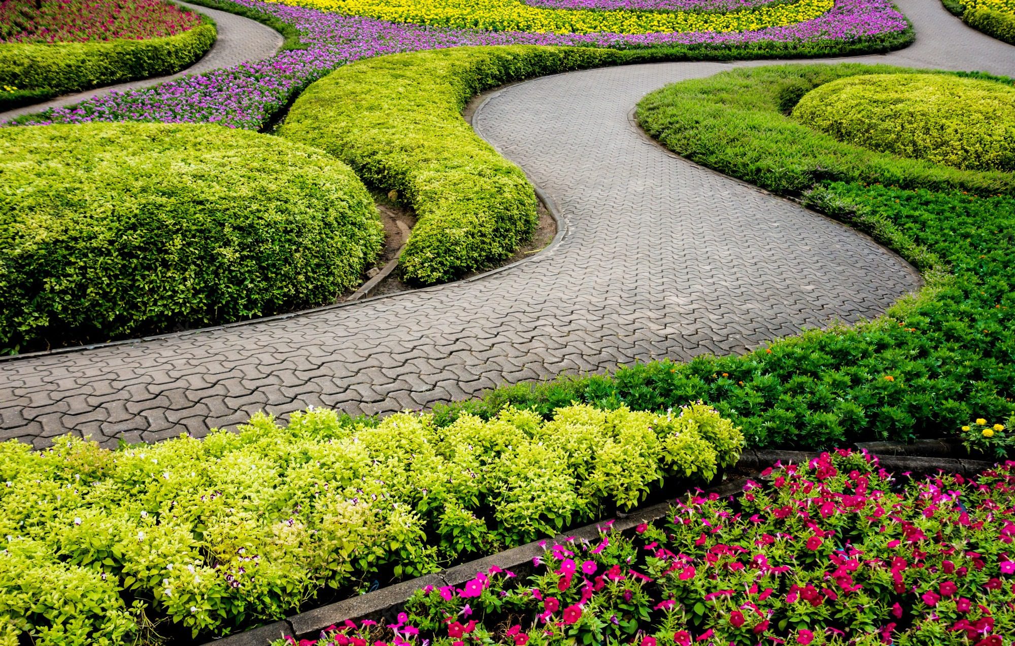 Luxury garden design