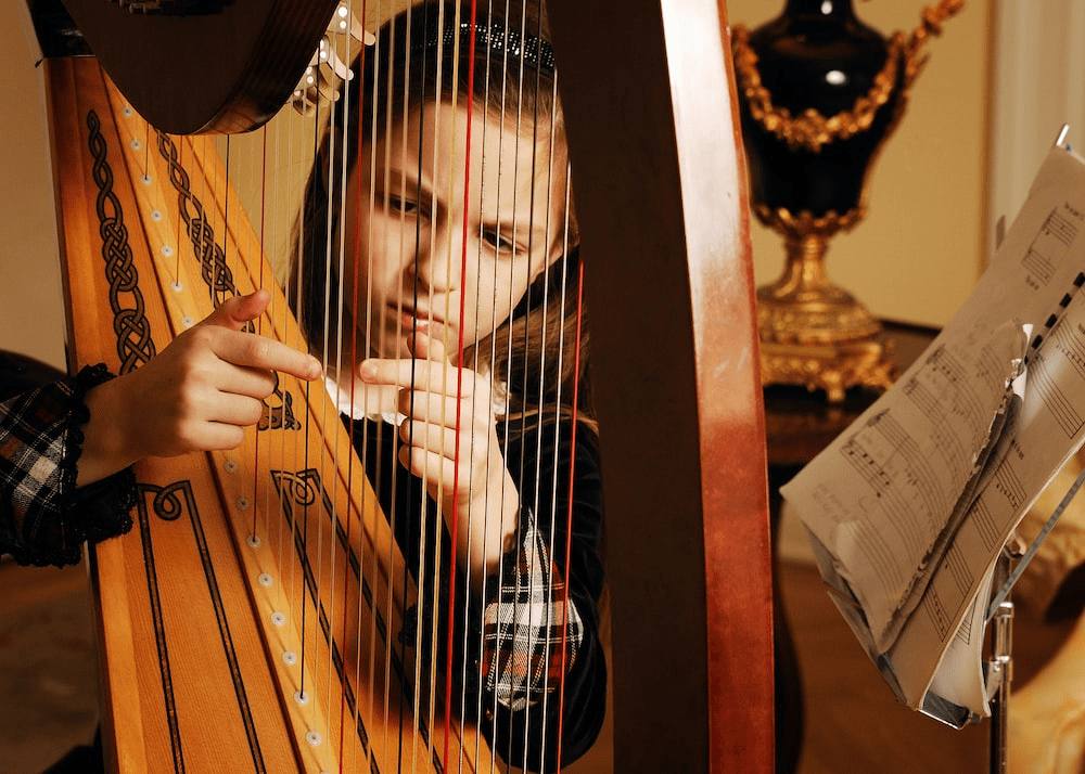 Musical-instrument